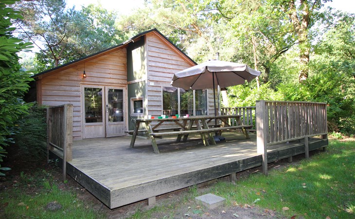Glamping family lodge 10 1