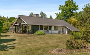 "Sven" - 250m to the fjord 2