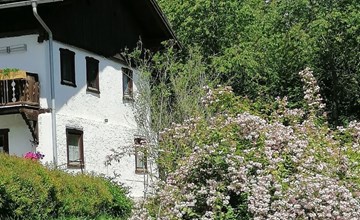 Riedbach in Mutters 2