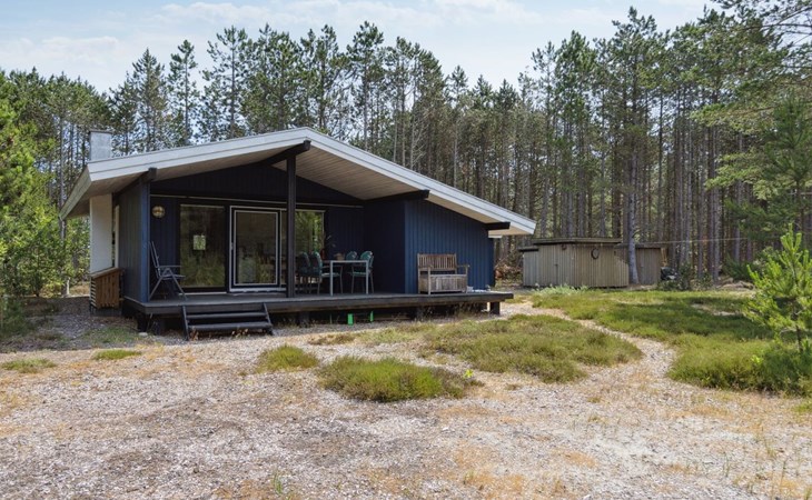 „Andy“ – 600 m vom Meer entfernt in Nordostjütland 1