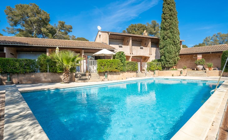 Die Kiefer (CRO130) 1