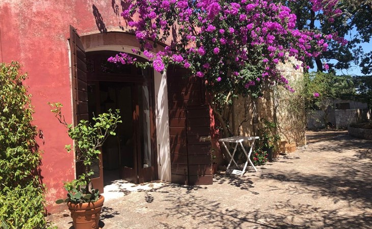 Wohnung mit Gartenblick 1