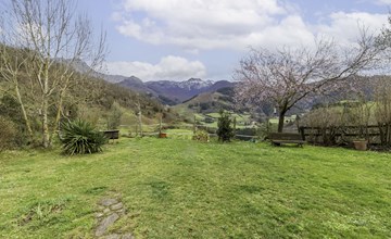 Cans of Wine - 1 hab. 3