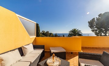 Rothaariger Kadett 2