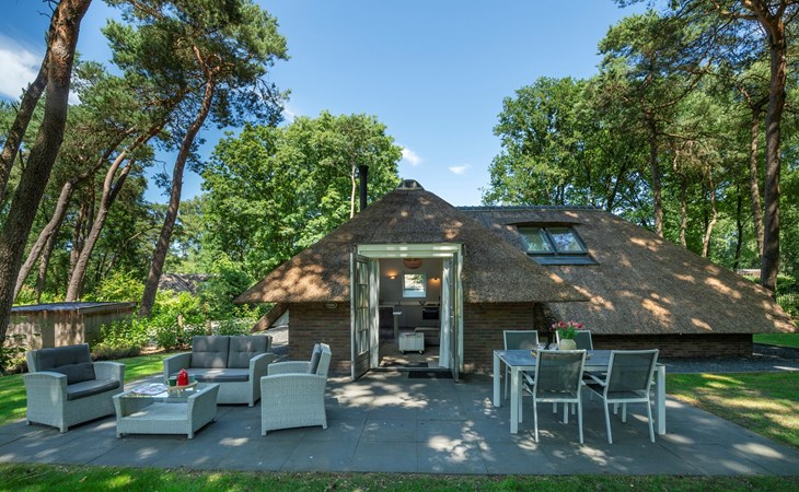 Sprielderbosch 25 Luxury holiday home on a holiday park in the Veluwe 1