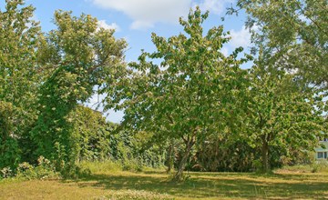 Ferienwohnung Mirow 3