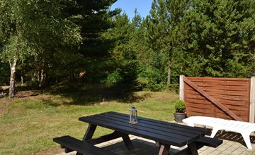 "Troen" - 3.8km from the sea in Western Jutland 2