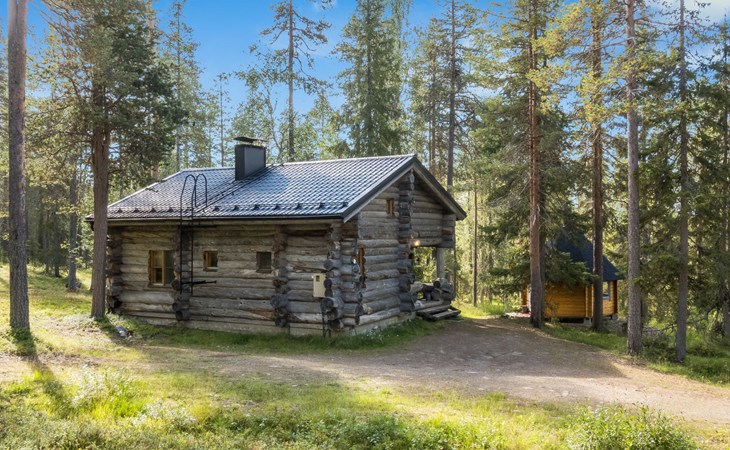 Ukkohermann 1