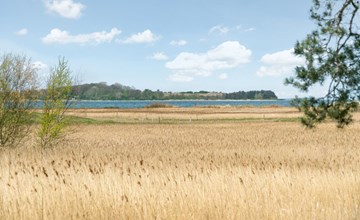 "Antti" - 350 meter van de zee in Funen 3
