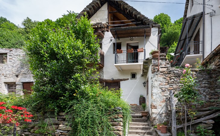 De grijze Gianlupo 1