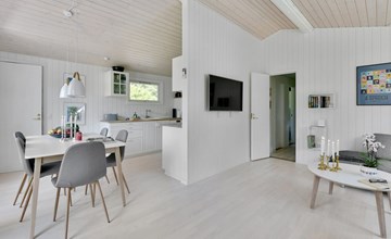 "Brune" - 30km from the sea in Western Jutland 2