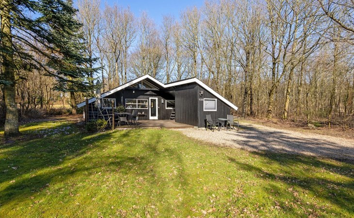 "Elisabeta" - 28km from the sea in Western Jutland 1