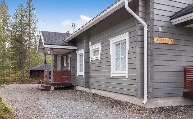 Daylight 8 Lapland gold 1