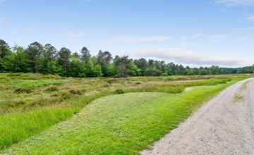 „Flora“ – 150 m vom Meer entfernt in Nordostjütland 3