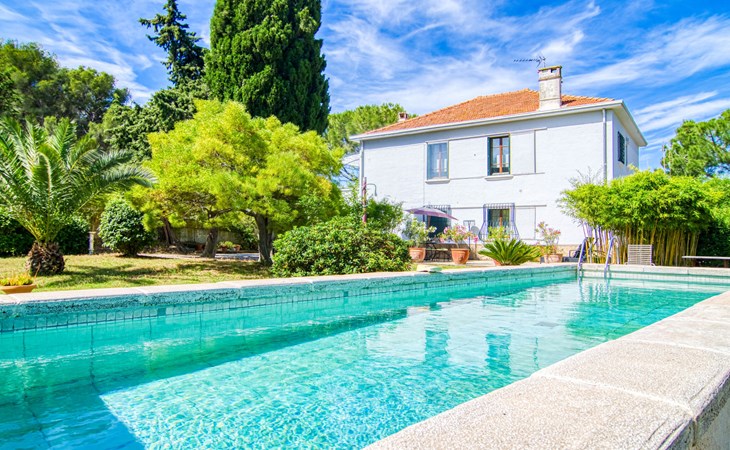 Liska Blu (SAY120) 1