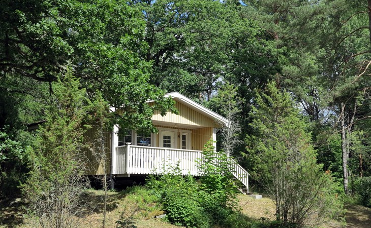 Red Moss Fifteen (SND042) 1