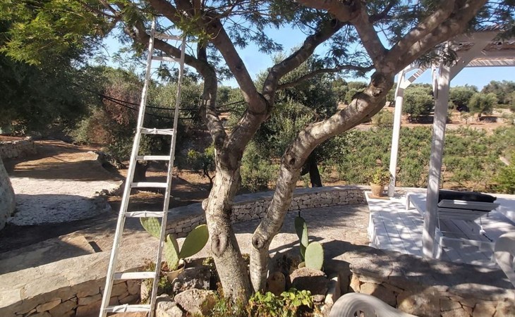 Villa Valle degli Ulivi 1