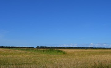 "Anna" - 1km from the sea in Western Jutland 3