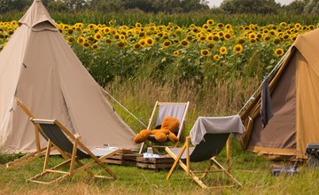 Pop-up glamping: Belltent| 2-4 pers. 2