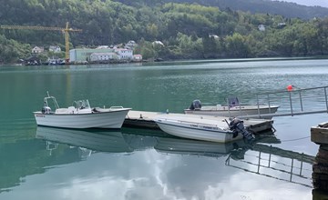 Herzwoche (FJH662) 3