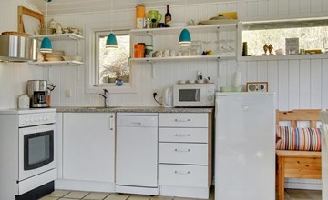 "Abbie" - 10m from the sea in NW Jutland 2