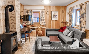 Ferienhaus mit Bergpanorama 3