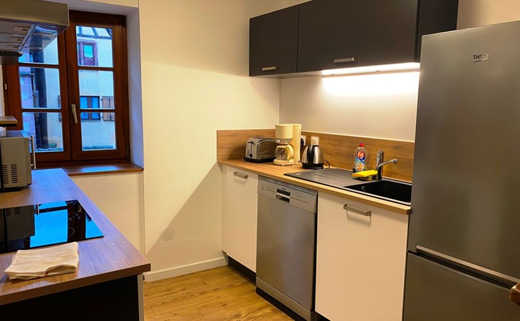 Bugatti in Riquewihr 1