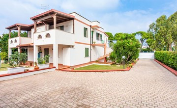 Flacher Rasen rechts 2