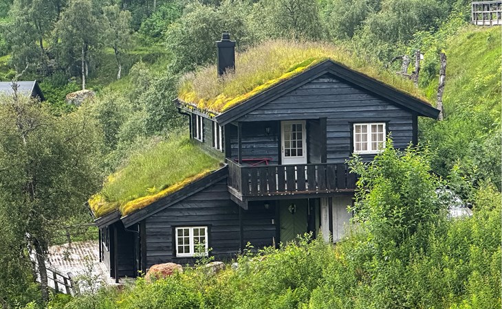 Amazing home in åseral with sauna 1