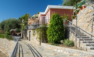 Bouganvilla (SLR402) 3