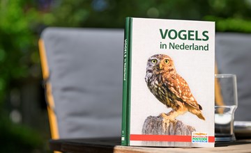 Schouwse Stee 26 prive en knus vakantiehuisje in Westenschouwen 3