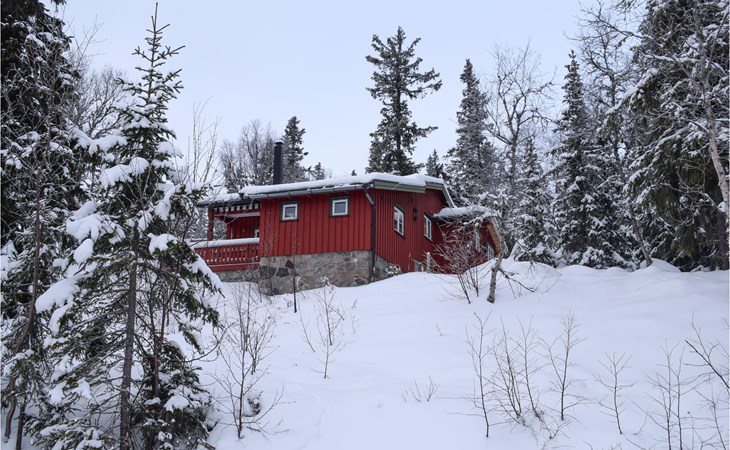 3 bedroom stunning home in Eggedal 1