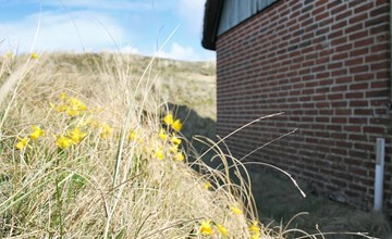 "Iivari" - 1,5 km van de zee in West-Jutland 3