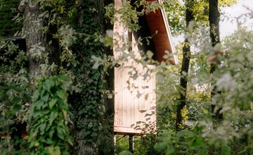 Natuur Villa met Hottub & Sauna | 4 personen 3