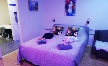 Apartment Melanie in Hovmantorp 3