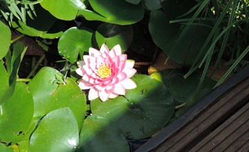 Mit Liebe ausgestattetes Haus im Naturpark 3