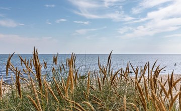 „Solfred“ – 200 m vom Meer entfernt in Bornholm 3