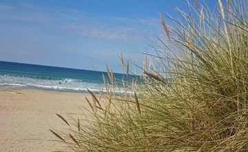 "Brun" - 60m from the sea 3