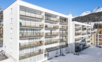 No.06 House Sursilvana 2