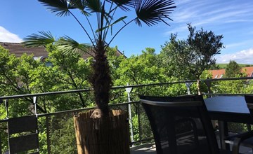 Stadtferienwohnung 2