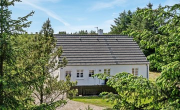 "Minja" - 900m from the sea in NW Jutland 3