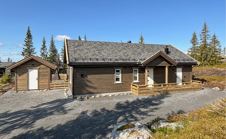 Stunning home in Sjusjøen with sauna 1