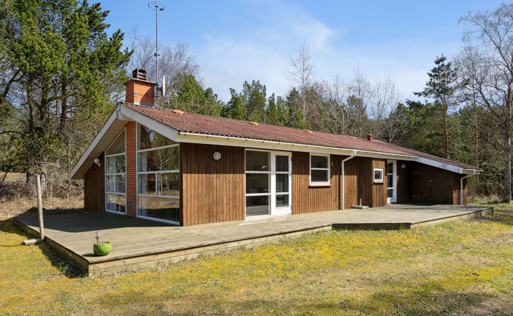 "Nicklas" - 2 km van de zee in NO Jutland 1