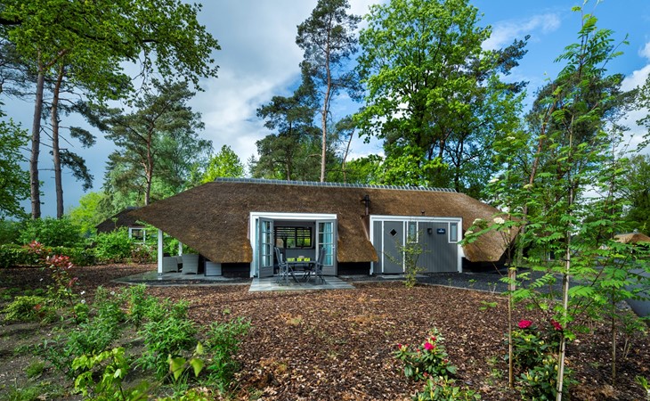 Sprielderbosch 9 luxury holidayhome in the forest near the Veluwe 1
