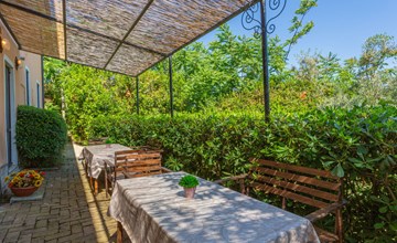 Source of Strain 2 3