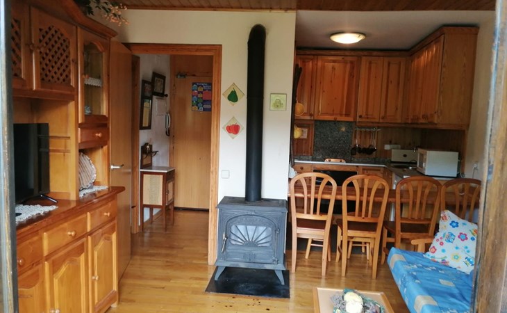 Wohnung mit Südlage Falcó 17 Vall de Boí 1