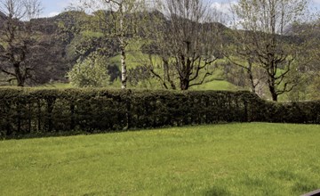 Sun & Mountain View 2