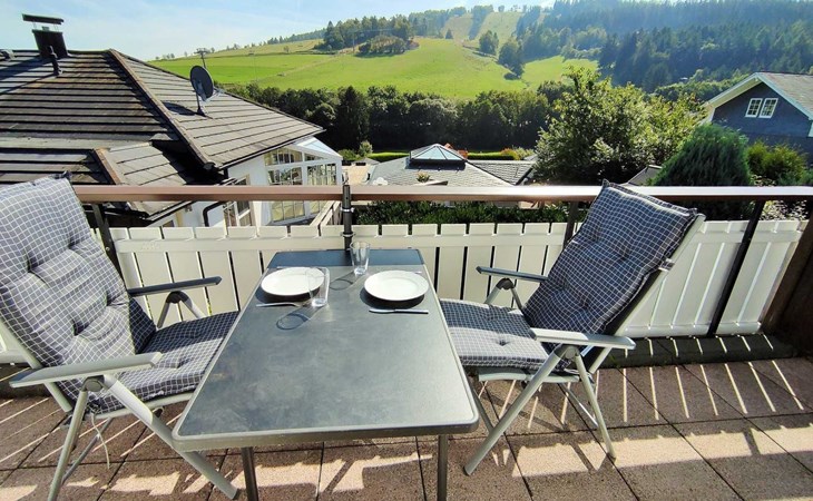 in Willingen Upland mit Balkon, K1 Blick, Waschm 1