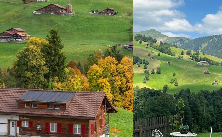 Engel Ingold Lodgechalet «Bärgblümli» 1