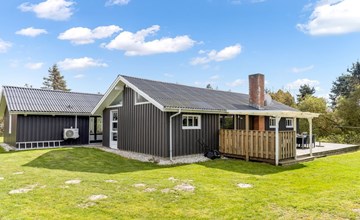 "Lempi" - 300m from the sea in NW Jutland 3